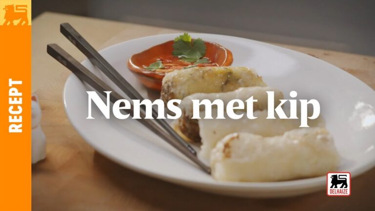 Nems met kip